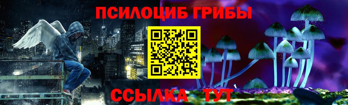 Тулун  Псилоцибиновые грибы MAGIC MUSHROOMS  Вход с VPN 