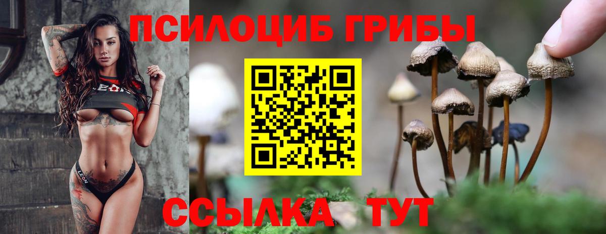 Галлюциногенные грибы прущие грибы Тулун
